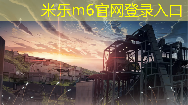 <strong>米乐：塑胶跑道和地面</strong>