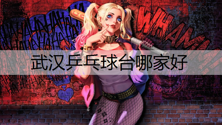 武汉乒乓球台哪家好