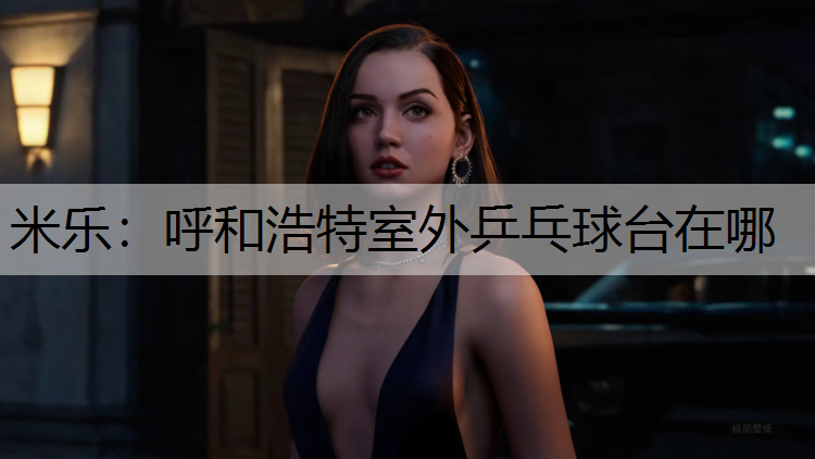 呼和浩特室外乒乓球台在哪